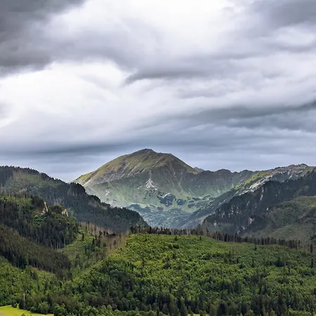 Krolewska With Mountain View By Renters